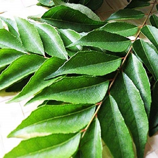 Organic Curry Leaves